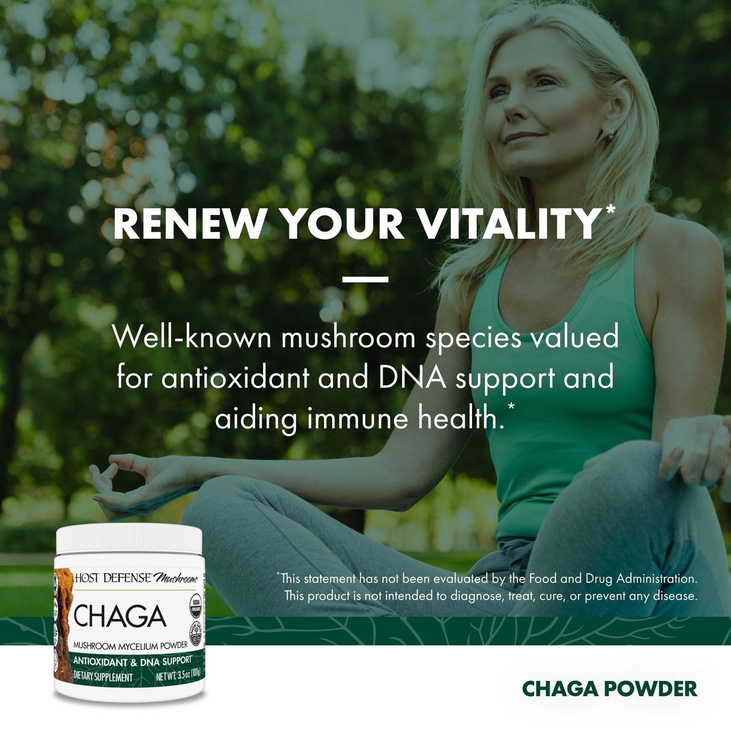 Host Defense Chaga Powder – Immune Support & Antioxidant Mushroom Supplement | 3.5 oz (66 Servings)