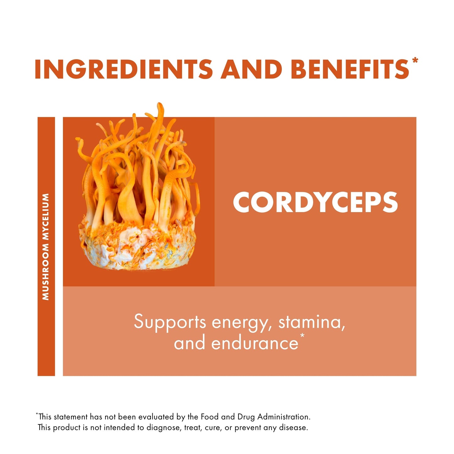 Host Defense Cordyceps Capsules – Immune & Energy Support (60 Caps)