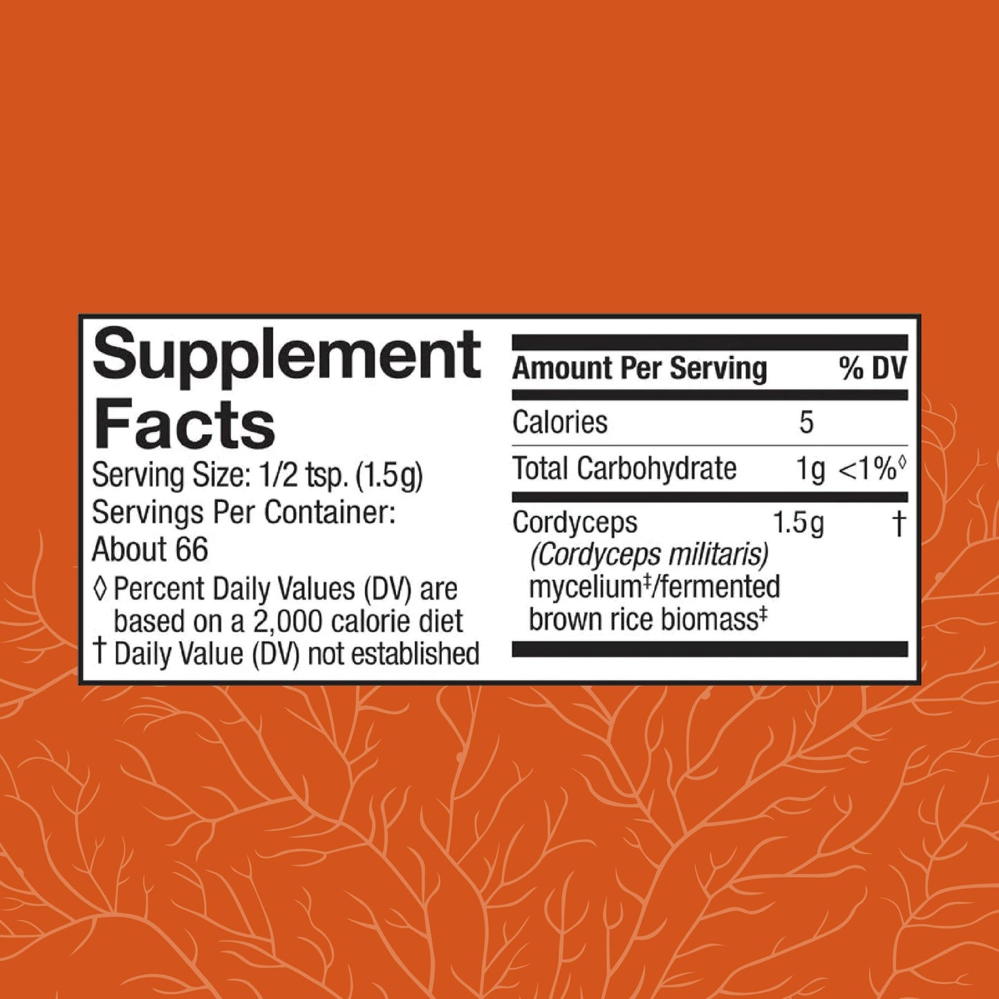 Host Defense Cordyceps Powder | Immune & Energy Support, Kidney Health | 3.5 oz (66 Servings)