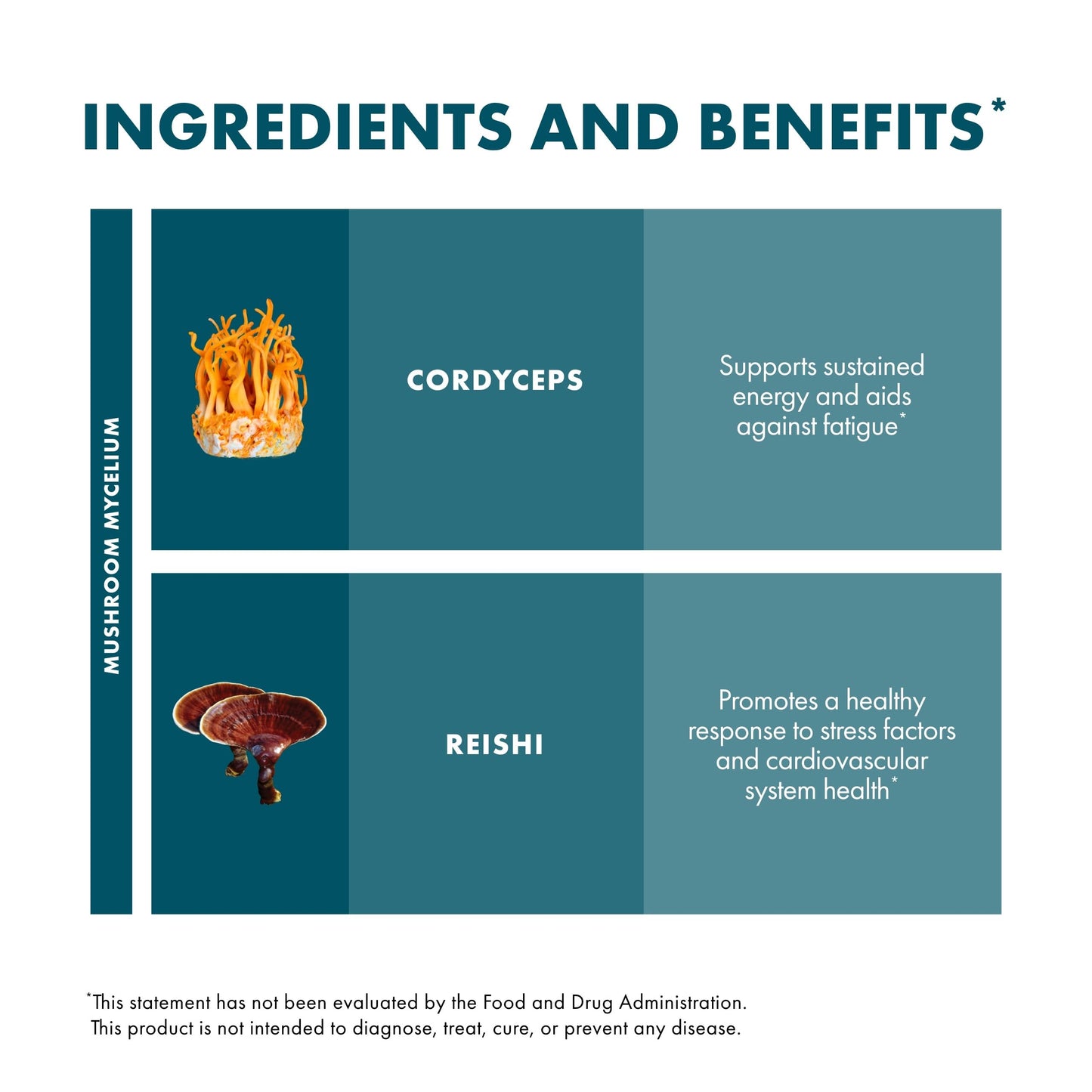 Host Defense CordyChi Capsules – Energy & Immune Support (Cordyceps & Reishi) – 30 Caps