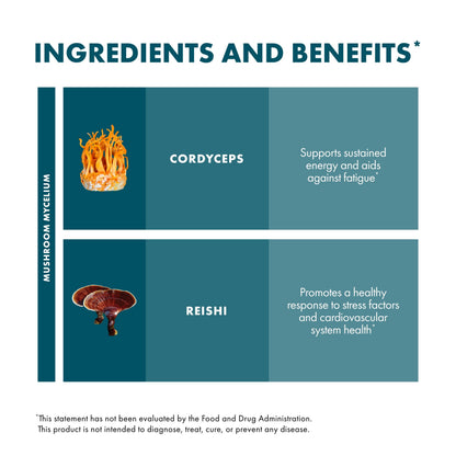 Host Defense CordyChi Extract - Cordyceps & Reishi Mushroom Supplement for Energy & Immune Support | 2 fl oz