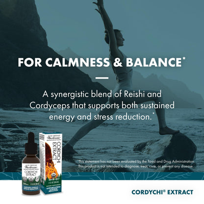Host Defense CordyChi Extract - Energy & Immune Support (Cordyceps & Reishi)