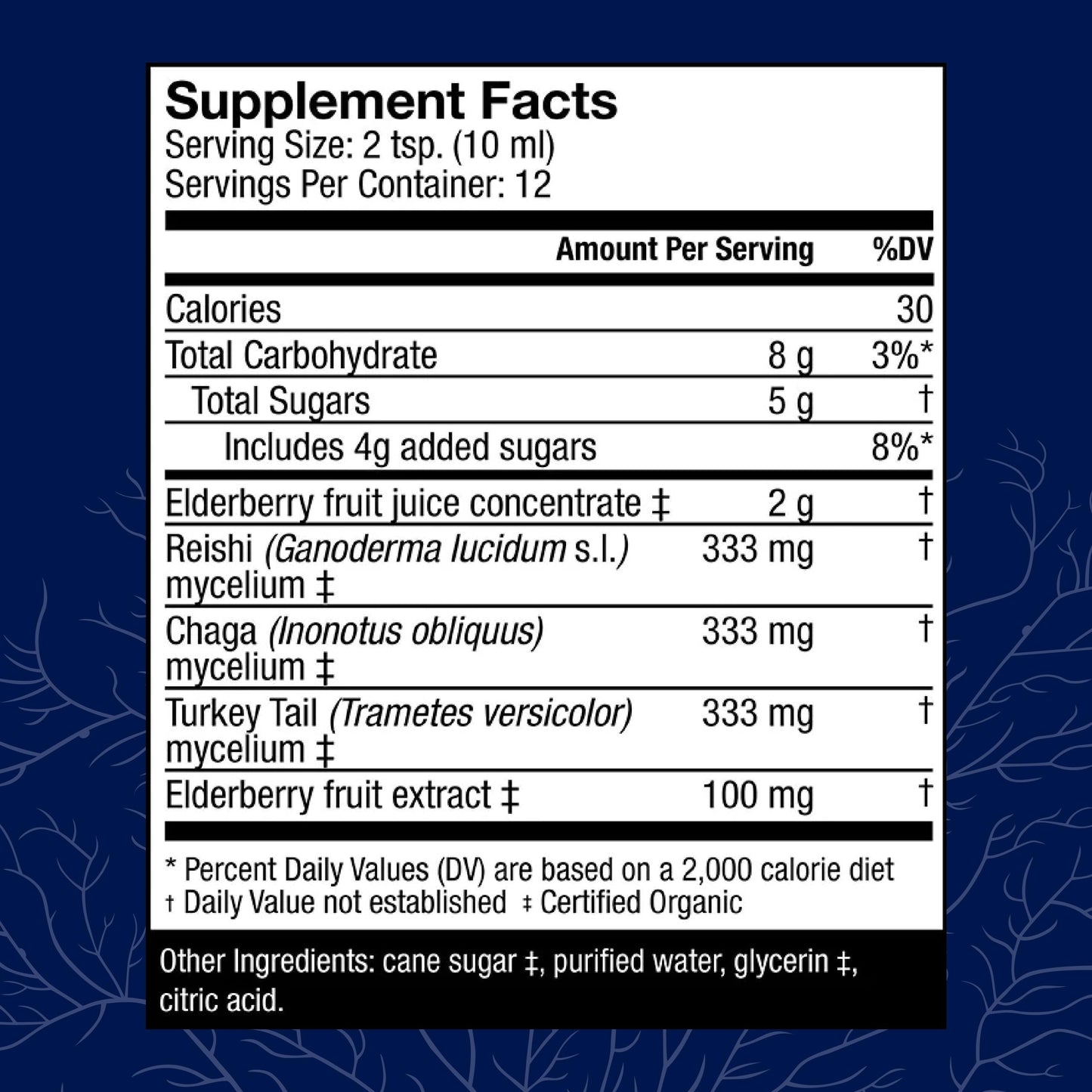 Host Defense Elderberry Plus Syrup - Immune & Respiratory Support Mushroom Supplement with Turkey Tail, Reishi, Agarikon & Chaga | 4 fl oz (12 Servings) Pack of 2