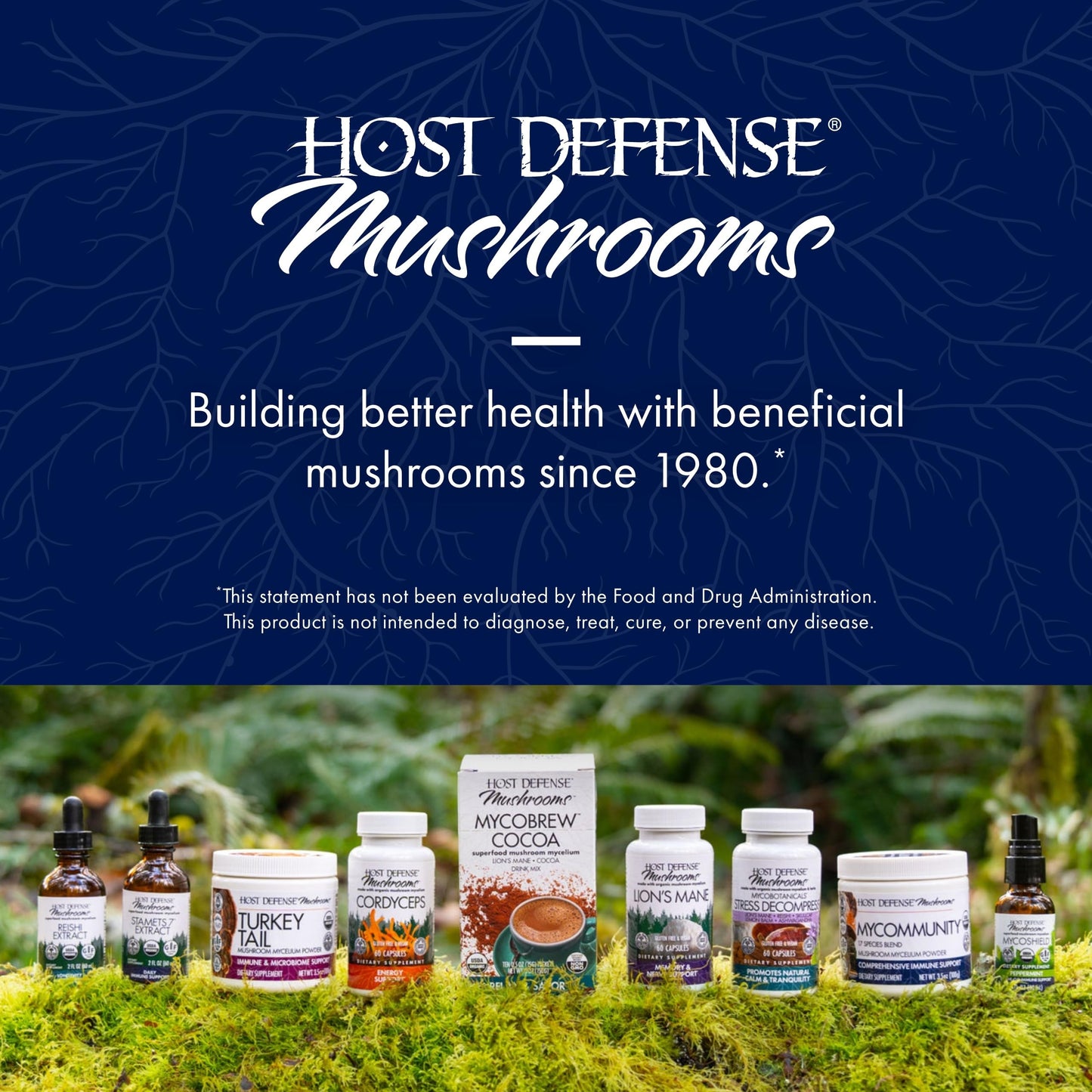 Host Defense Elderberry Plus Syrup - Immune & Respiratory Support Mushroom Supplement with Turkey Tail, Reishi, Agarikon & Chaga | 4 fl oz (12 Servings) Pack of 2