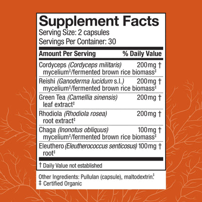 Host Defense MycoBotanicals Energy Capsules – Energy & Respiratory Support (Cordyceps, Reishi & Chaga) – 60 Capsules