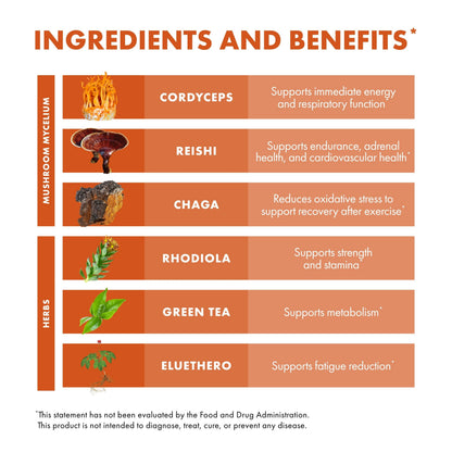Host Defense MycoBotanicals Energy Capsules – Energy & Respiratory Support (Cordyceps, Reishi & Chaga) – 60 Capsules