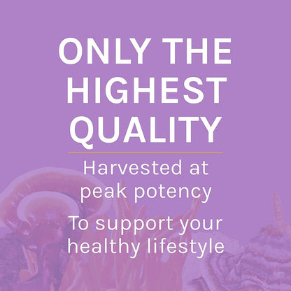 Host Defense Lion's Mane Powder - Brain Health & Focus (66 Servings)