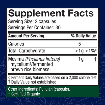 Host Defense Mesima Capsules | Immune Support & Antioxidant Mushroom Supplement - 60 Capsules