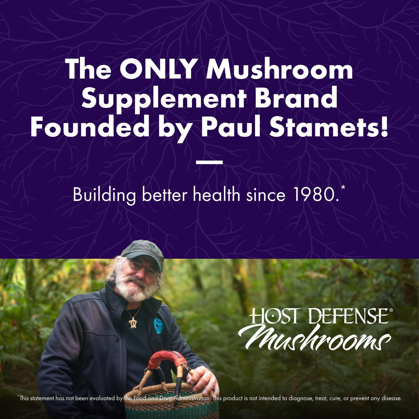 Host Defense Mesima Capsules | Immune Support & Antioxidant Mushroom Supplement - 60 Capsules
