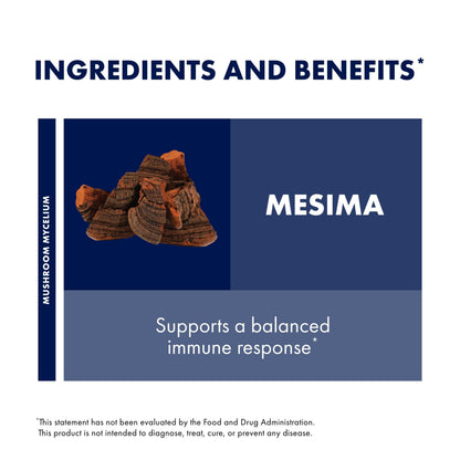 Host Defense Mesima Capsules | Immune Support & Antioxidant Mushroom Supplement - 60 Capsules