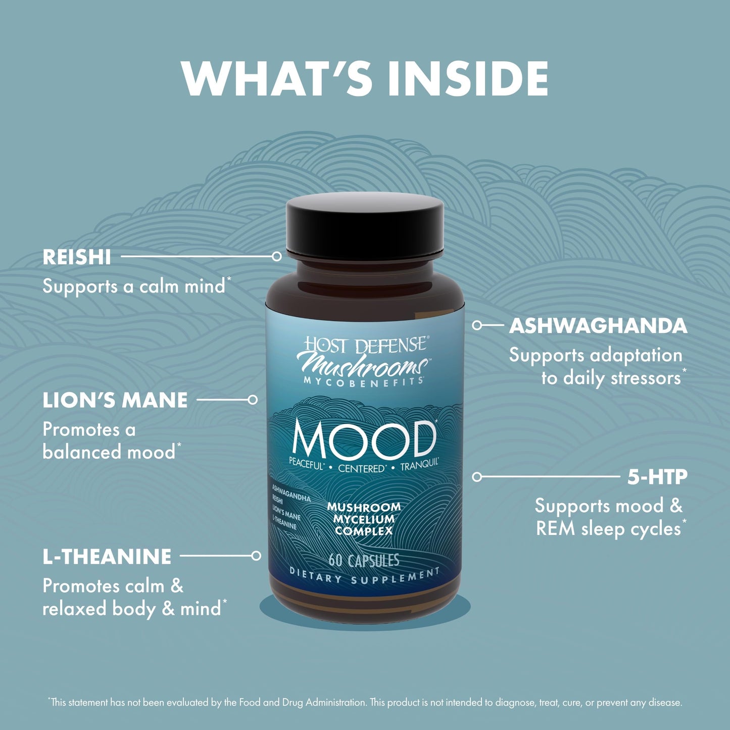 Host Defense MycoBenefits Mood* Capsules – Healthy Mind Support | Lion's Mane, L-Theanine & Ashwagandha | 60 Caps
