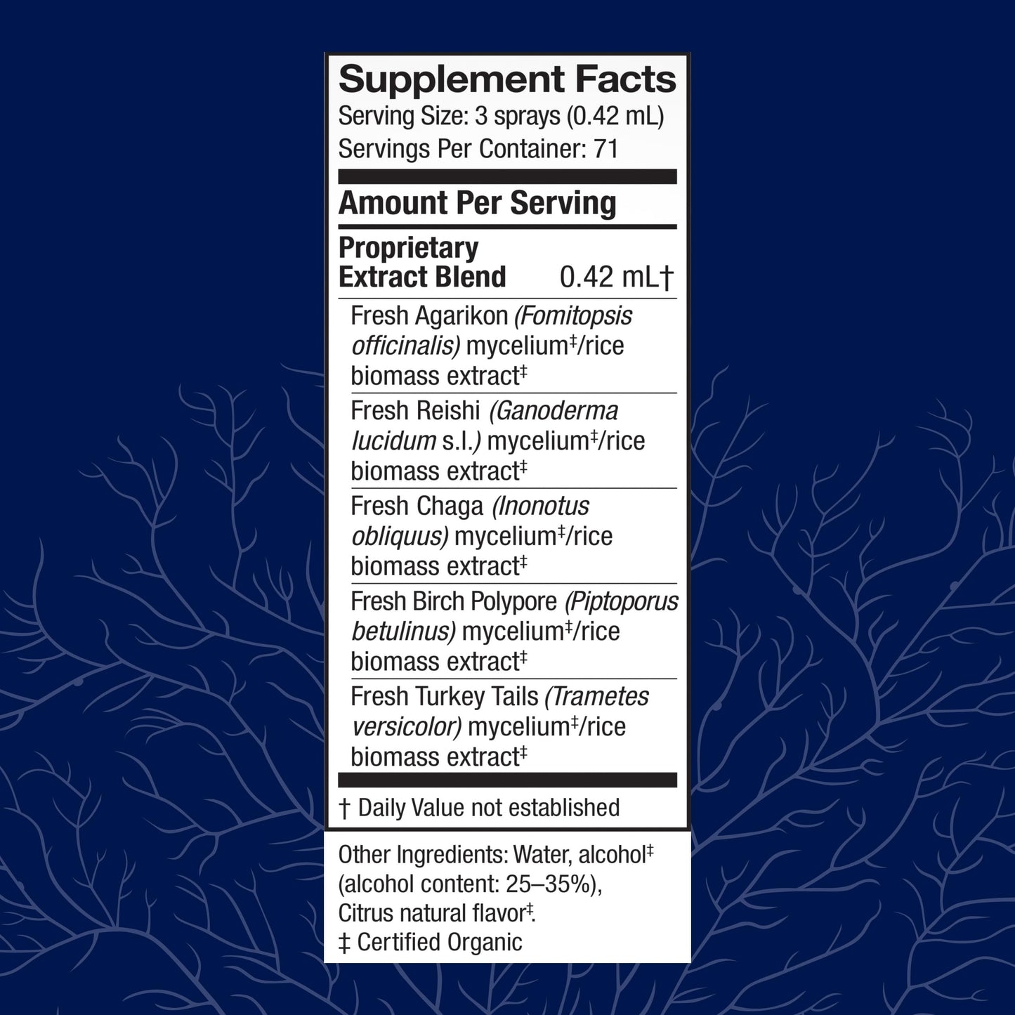 Host Defense MycoShield Throat Spray – Immune Support Mushroom Supplement (Chaga, Reishi, Turkey Tail) – Citrus Flavor, 1 fl oz (71 Servings)