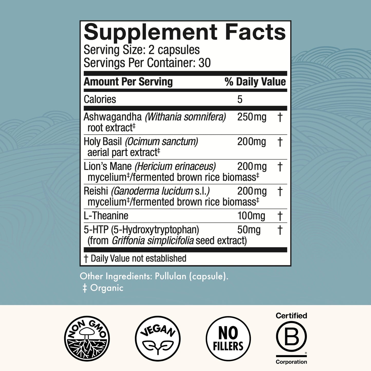 Host Defense MycoBenefits Mood* Capsules – Healthy Mind Support | Lion's Mane, L-Theanine & Ashwagandha | 60 Caps