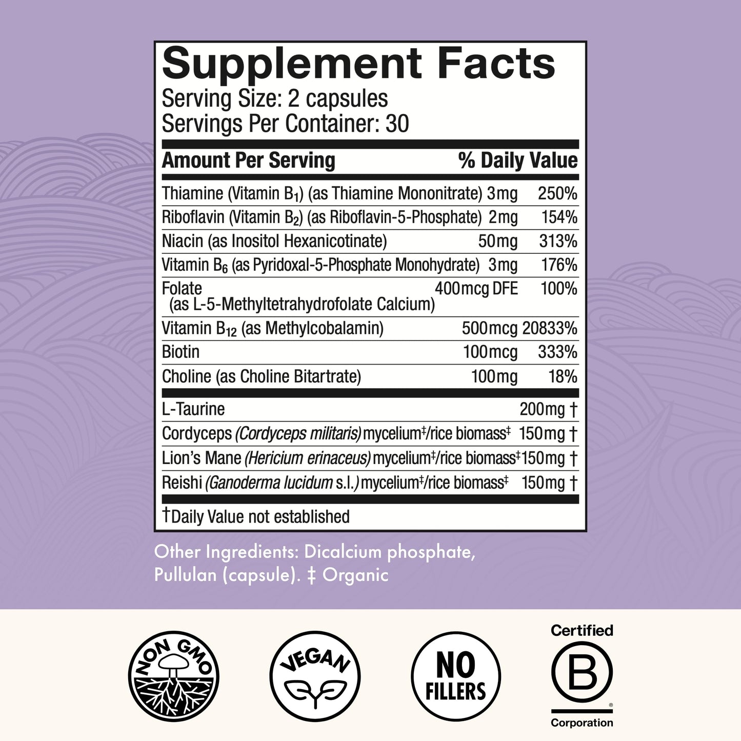 Host Defense MycoBenefits Focus Capsules – Brain Health Mushroom Supplement with Lion's Mane, Reishi & B Vitamins | 60 Capsules (30 Servings)