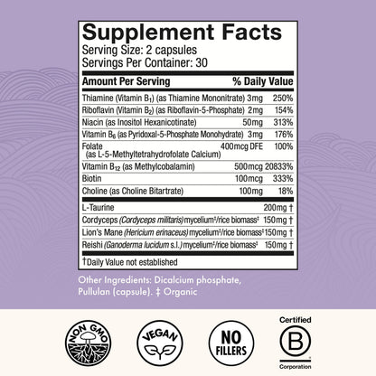Host Defense MycoBenefits Focus Capsules – Brain Health Mushroom Supplement with Lion's Mane, Reishi & B Vitamins | 60 Capsules (30 Servings)