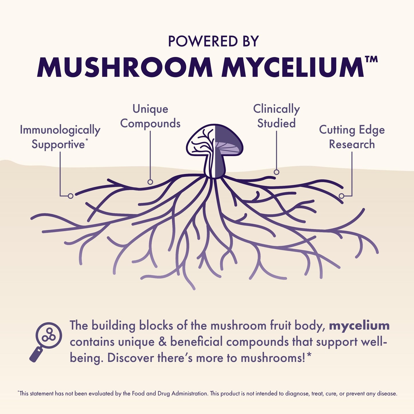 Host Defense MycoBenefits Focus Capsules – Brain Health Mushroom Supplement with Lion's Mane, Reishi & B Vitamins | 60 Capsules (30 Servings)