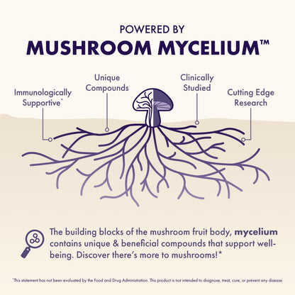 Host Defense MycoBenefits Focus Capsules – Brain Health Mushroom Supplement with Lion's Mane, Reishi & B Vitamins | 60 Capsules (30 Servings)