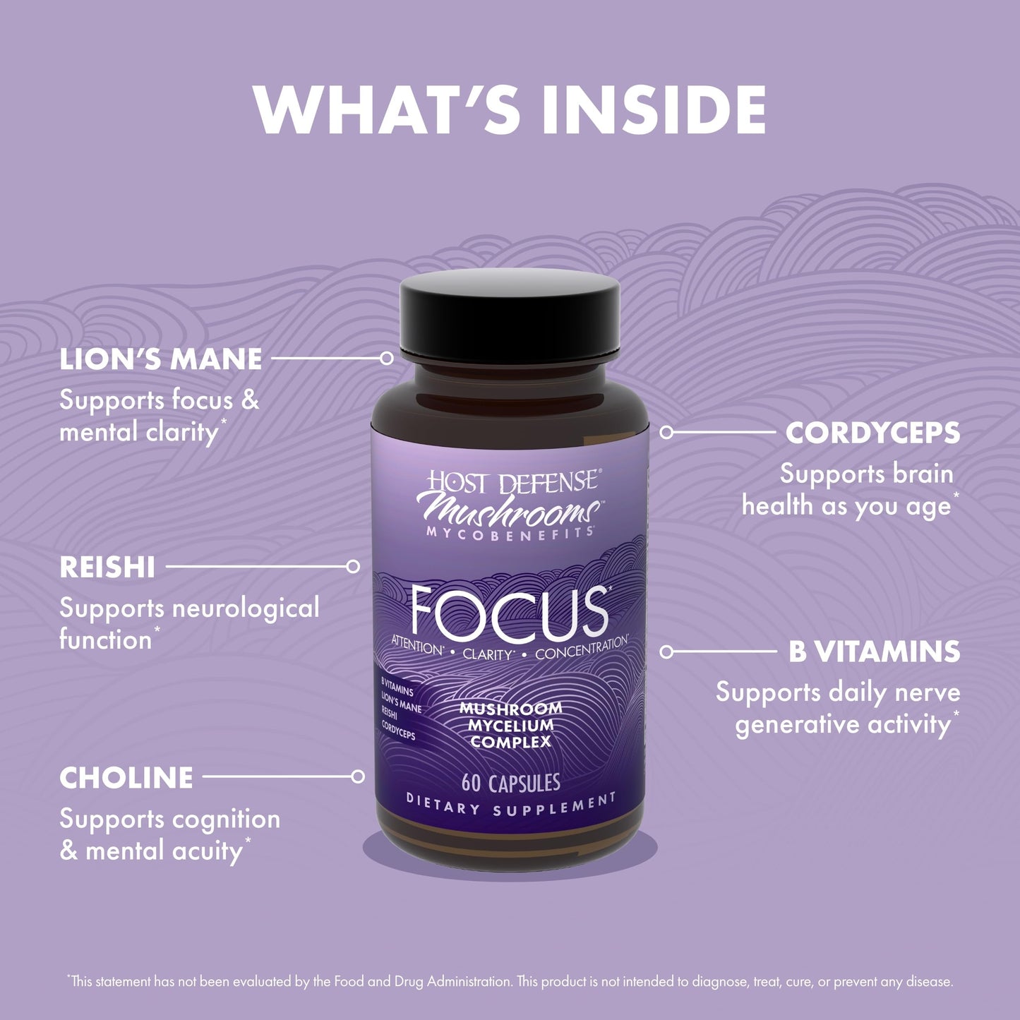 Host Defense MycoBenefits Focus Capsules – Brain Health Mushroom Supplement with Lion's Mane, Reishi & B Vitamins | 60 Capsules (30 Servings)
