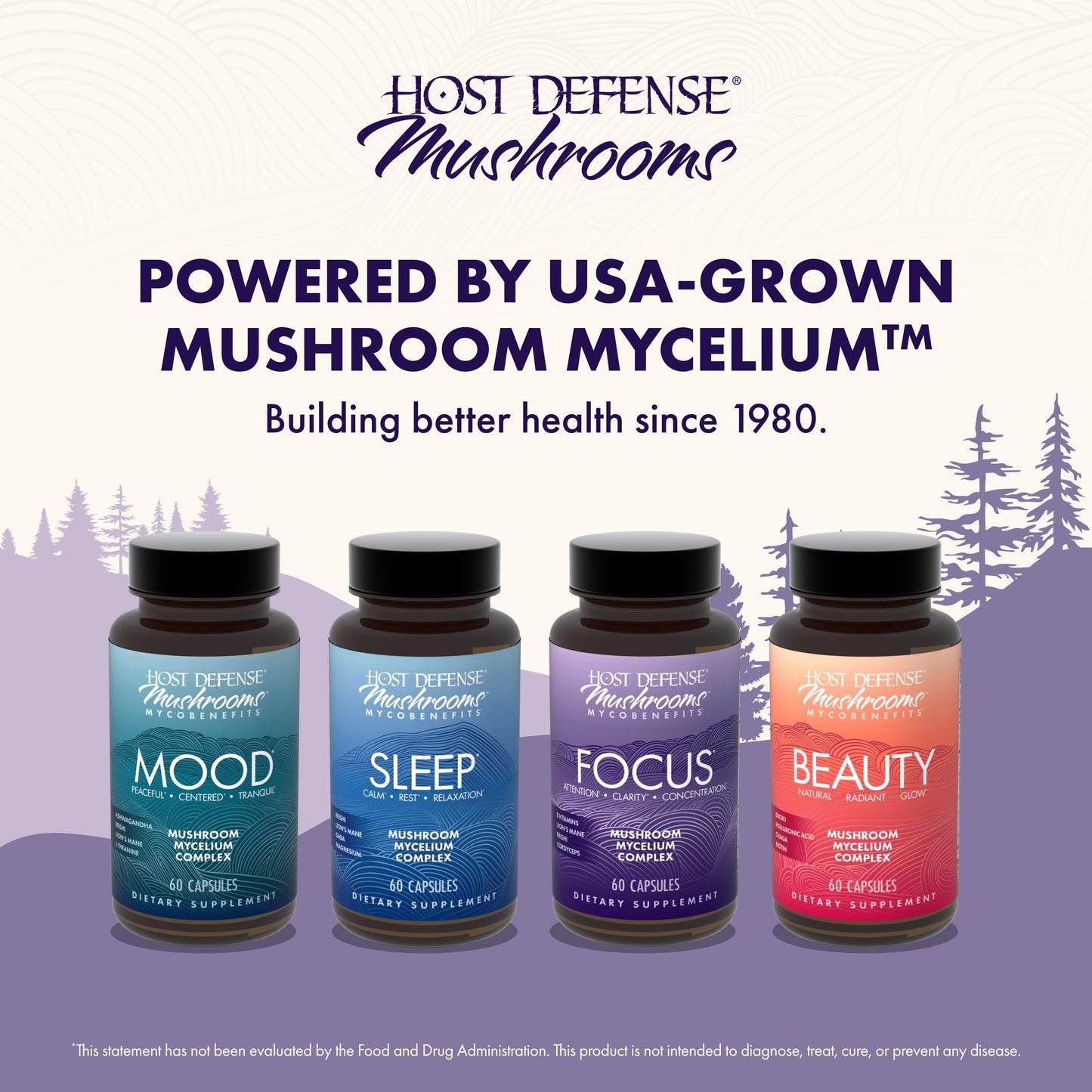 Host Defense MycoBenefits Focus Capsules – Brain Health Mushroom Supplement with Lion's Mane, Reishi & B Vitamins | 60 Capsules (30 Servings)