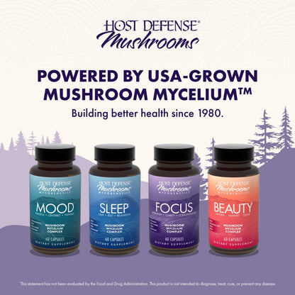 Host Defense MycoBenefits Focus Capsules – Brain Health Mushroom Supplement with Lion's Mane, Reishi & B Vitamins | 60 Capsules (30 Servings)