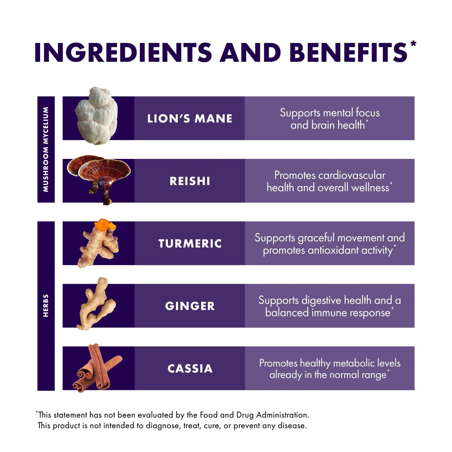 Host Defense MycoBotanicals Brain & Body Powder – Digestive & Immune Support with Lion's Mane & Reishi