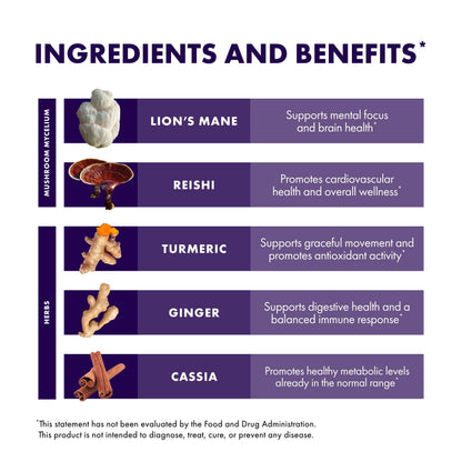 Host Defense MycoBotanicals Brain & Body Powder – Digestive & Immune Support with Lion's Mane & Reishi