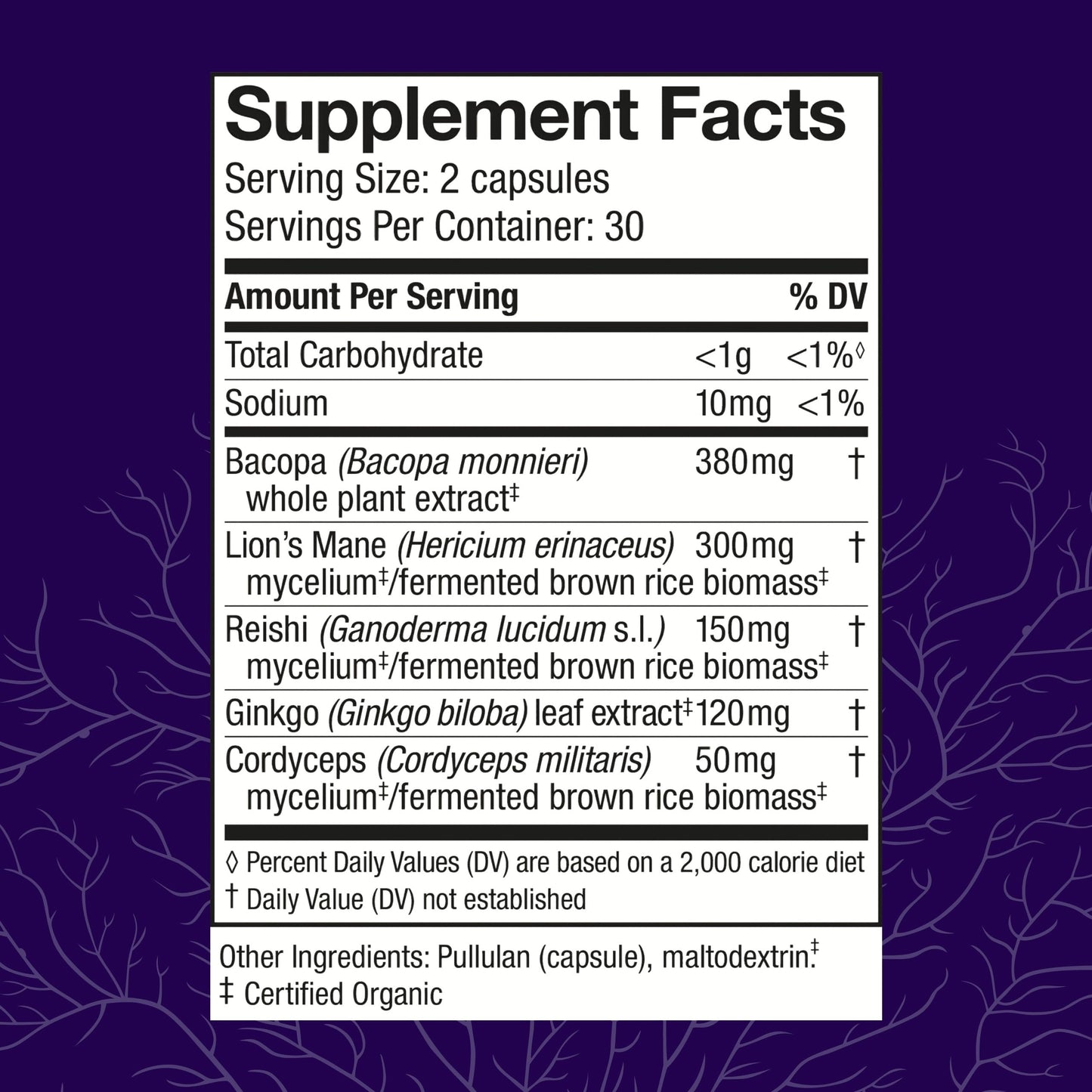 Host Defense MycoBotanicals Brain Capsules - Lion's Mane, Reishi & Cordyceps | 60 Capsules (30 Servings)
