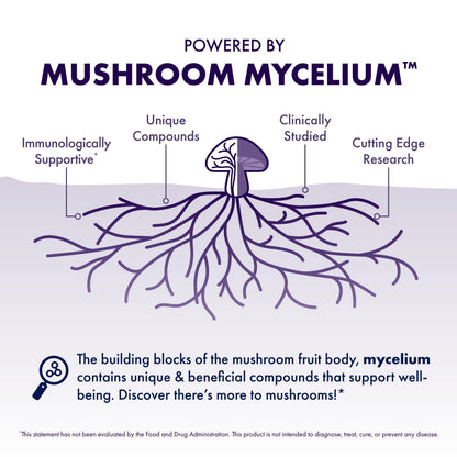 Host Defense MycoBotanicals Brain Capsules - Lion's Mane, Reishi & Cordyceps | 60 Capsules (30 Servings)