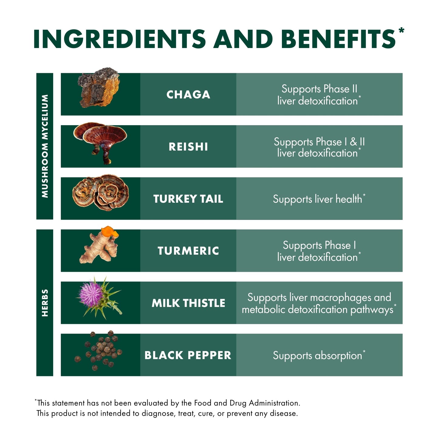 Host Defense MycoBotanicals Liver* Capsules - Liver Health Supplement with Milk Thistle & Turmeric Root - Mushroom Supplement with Turkey Tail, Reishi & Chaga - 60 Capsules (30 Servings)*