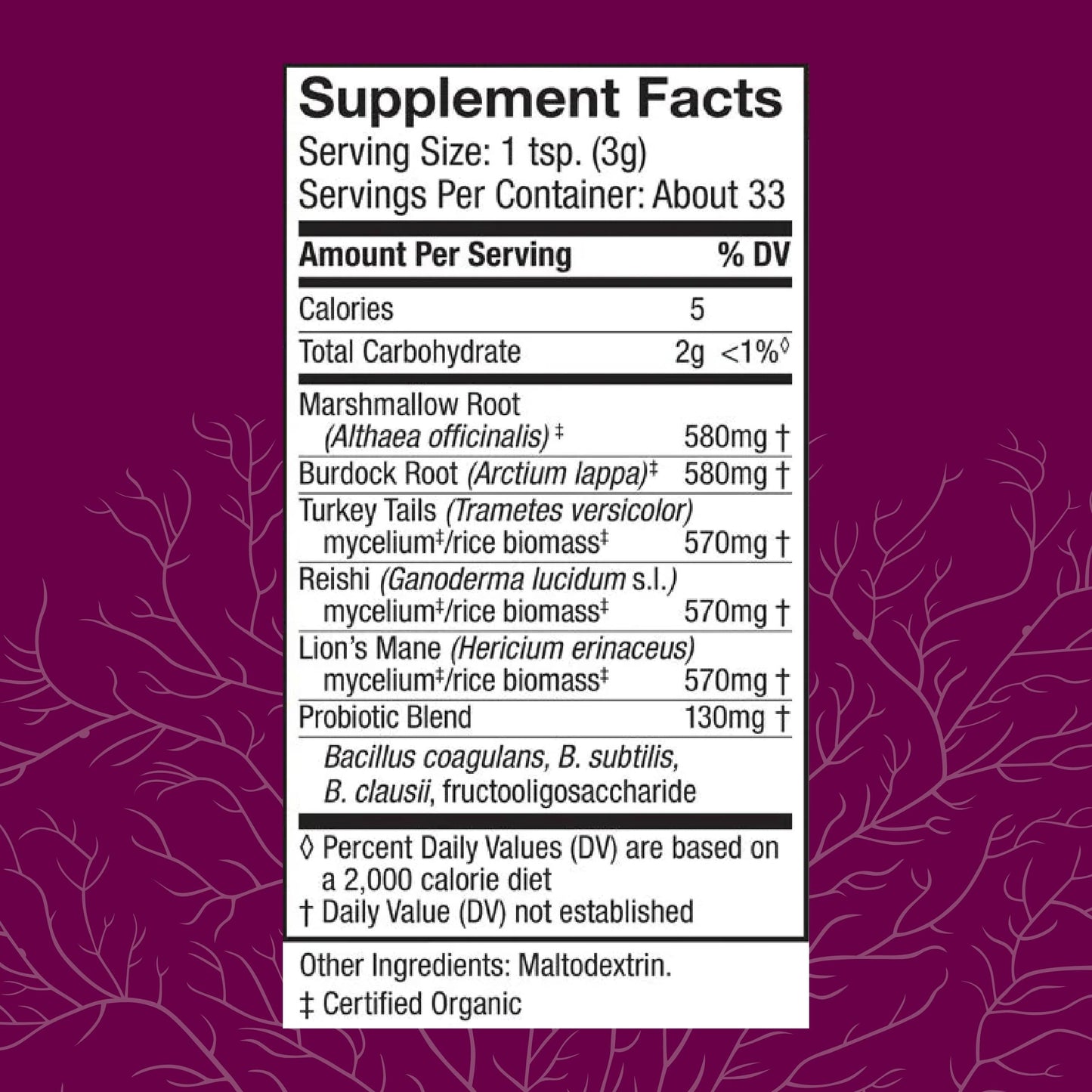 Host Defense MycoBotanicals Microbiome Powder – Digestive & Immune Health Support (3.5 oz, 33 Servings)
