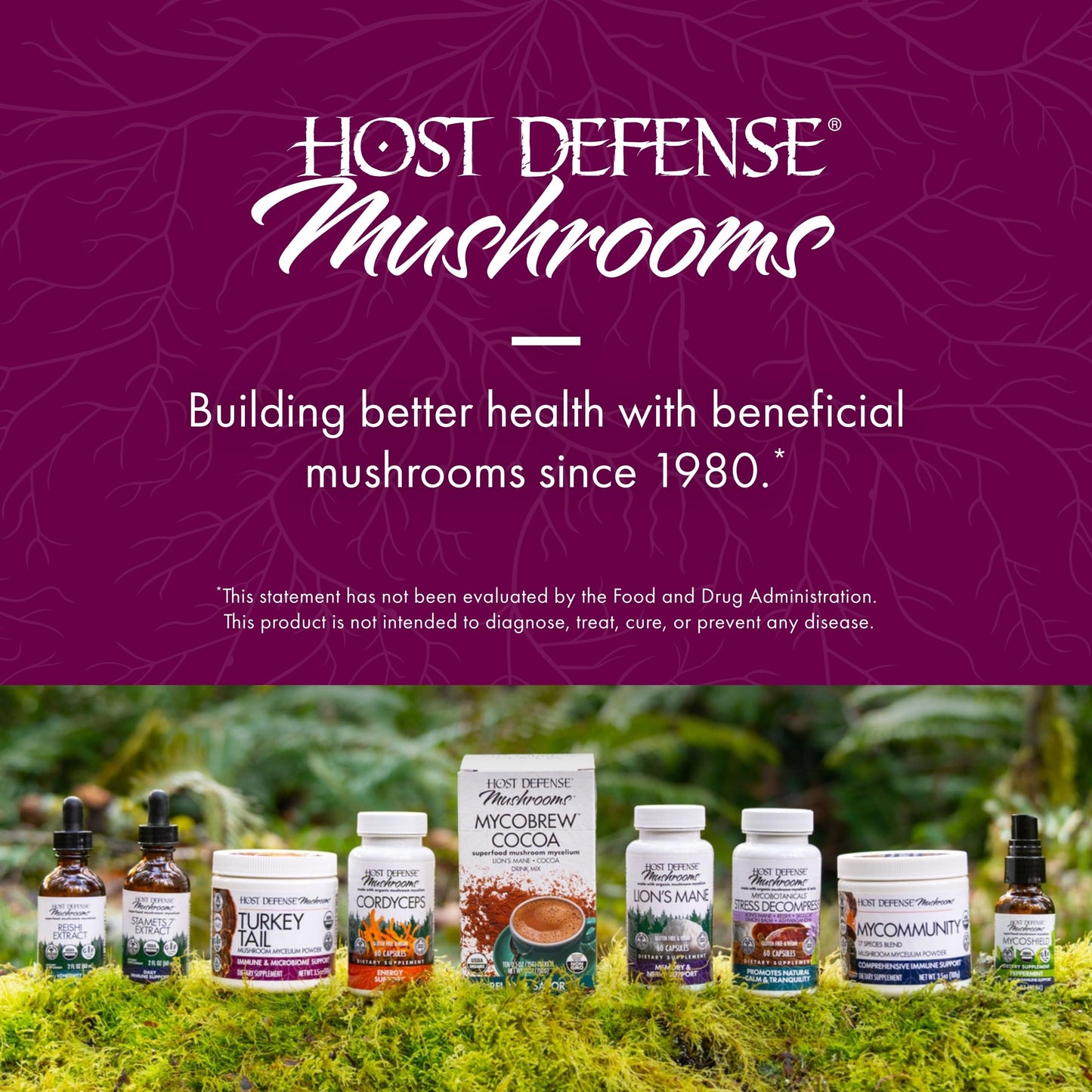 Host Defense MycoBotanicals Microbiome Powder – Digestive & Immune Health Support (3.5 oz, 33 Servings)