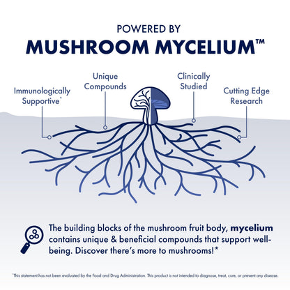 Host Defense MyCommunity Capsules - 17-Species Mushroom Blend for Immune Support | 30 Capsules