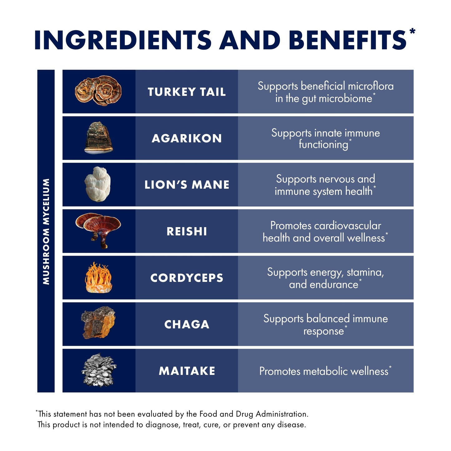 Host Defense MyCommunity Capsules - 17-Species Mushroom Blend for Immune Support | 30 Capsules