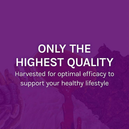 Host Defense MyCommunity Capsules - 17-Species Mushroom Blend for Immune Support | 30 Capsules