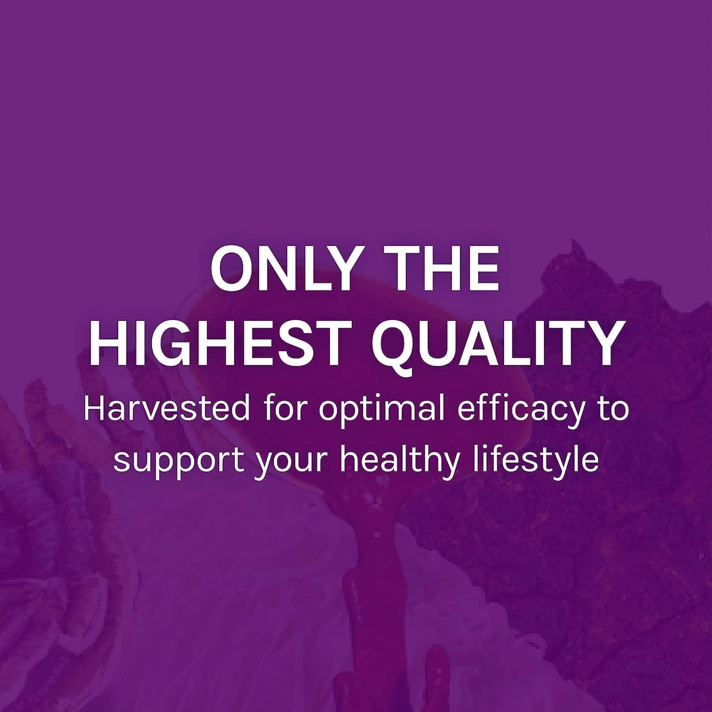 Host Defense MyCommunity Extract – 17-Species Mushroom Supplement for Immune Support | 1 fl oz