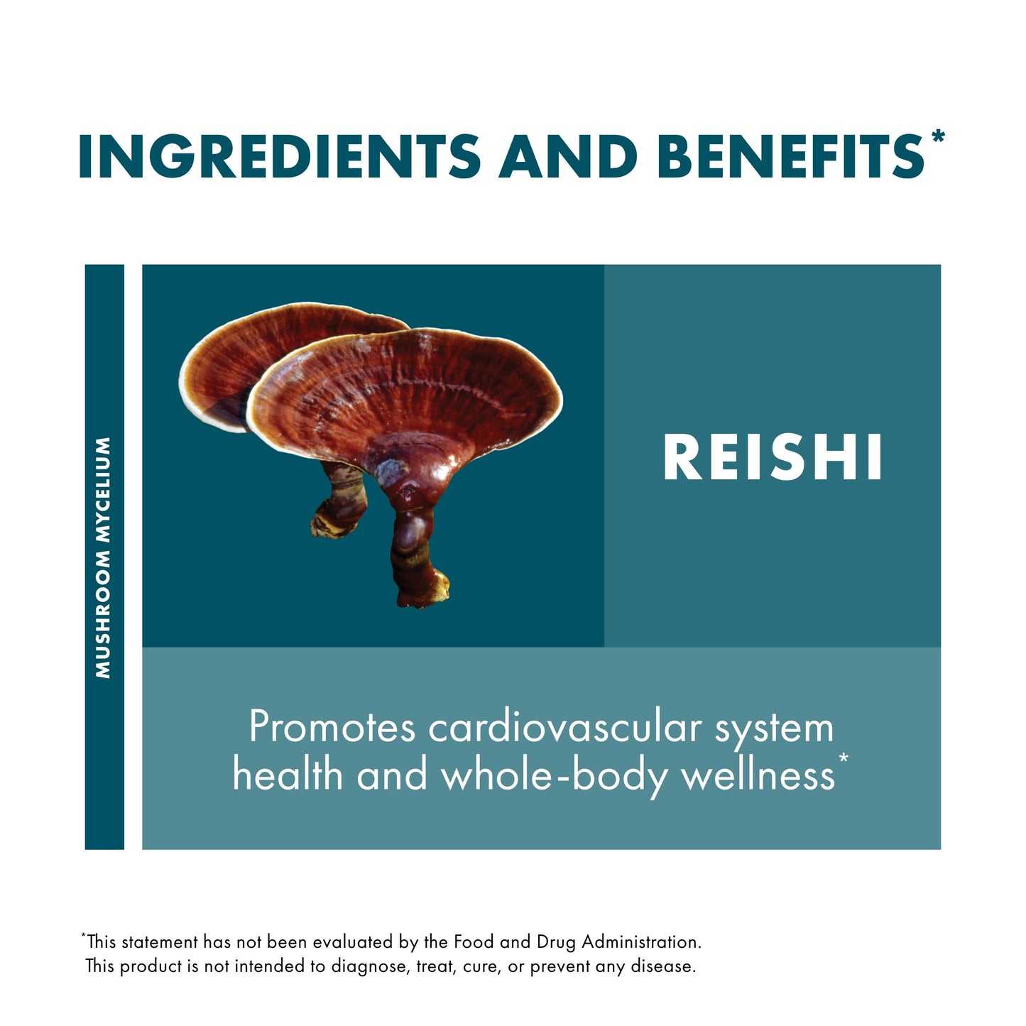 Host Defense Reishi Capsules – Immune & Heart Health Support, Energy & Vitality – 60 Capsules (30 Servings)