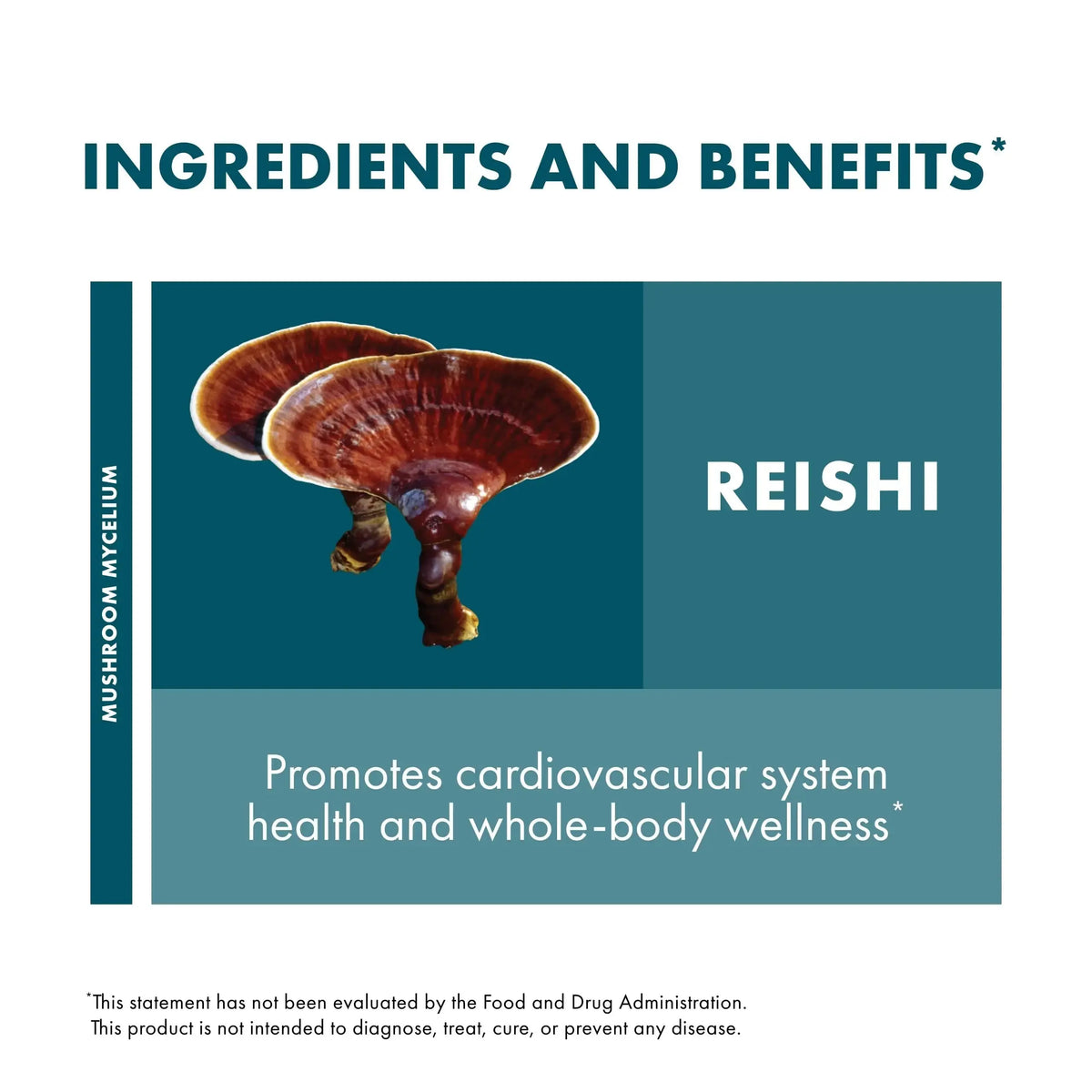 Host Defense Reishi Capsules | Immune & Heart Health Support, Energy & Vitality – 120 Capsules BritishVita | Premium UK Vitamins & Wellness Supplements