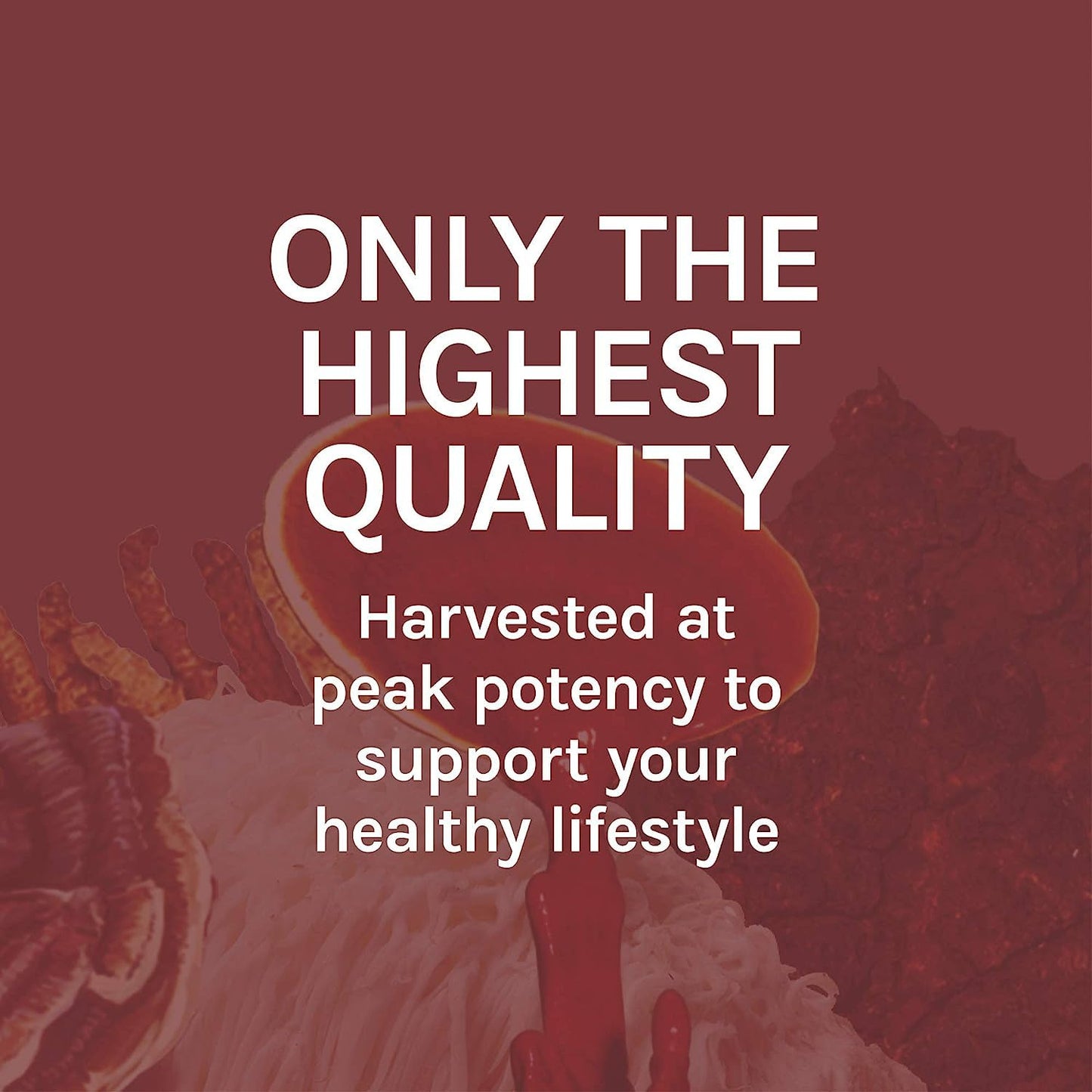 Host Defense Reishi Extract – Immune & Heart Health Support (2 fl oz, 60 Servings)