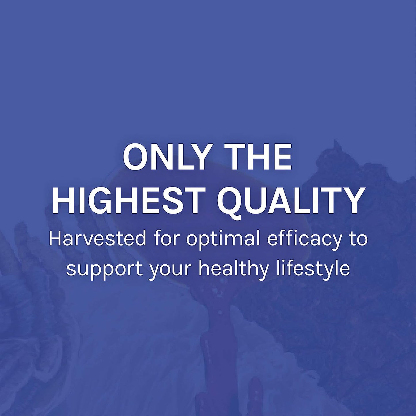 Host Defense Stamets 7-7 Species Blend - Immune Support (30 Capsules)