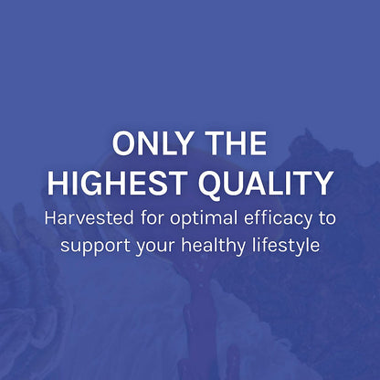 Host Defense Stamets 7-7 Species Blend - Immune Support (30 Capsules)