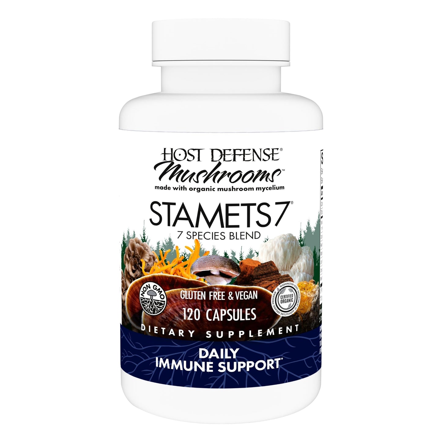Host Defense Stamets 7-7 Species Mushroom Blend – Immune Support Supplement – 120 Capsules