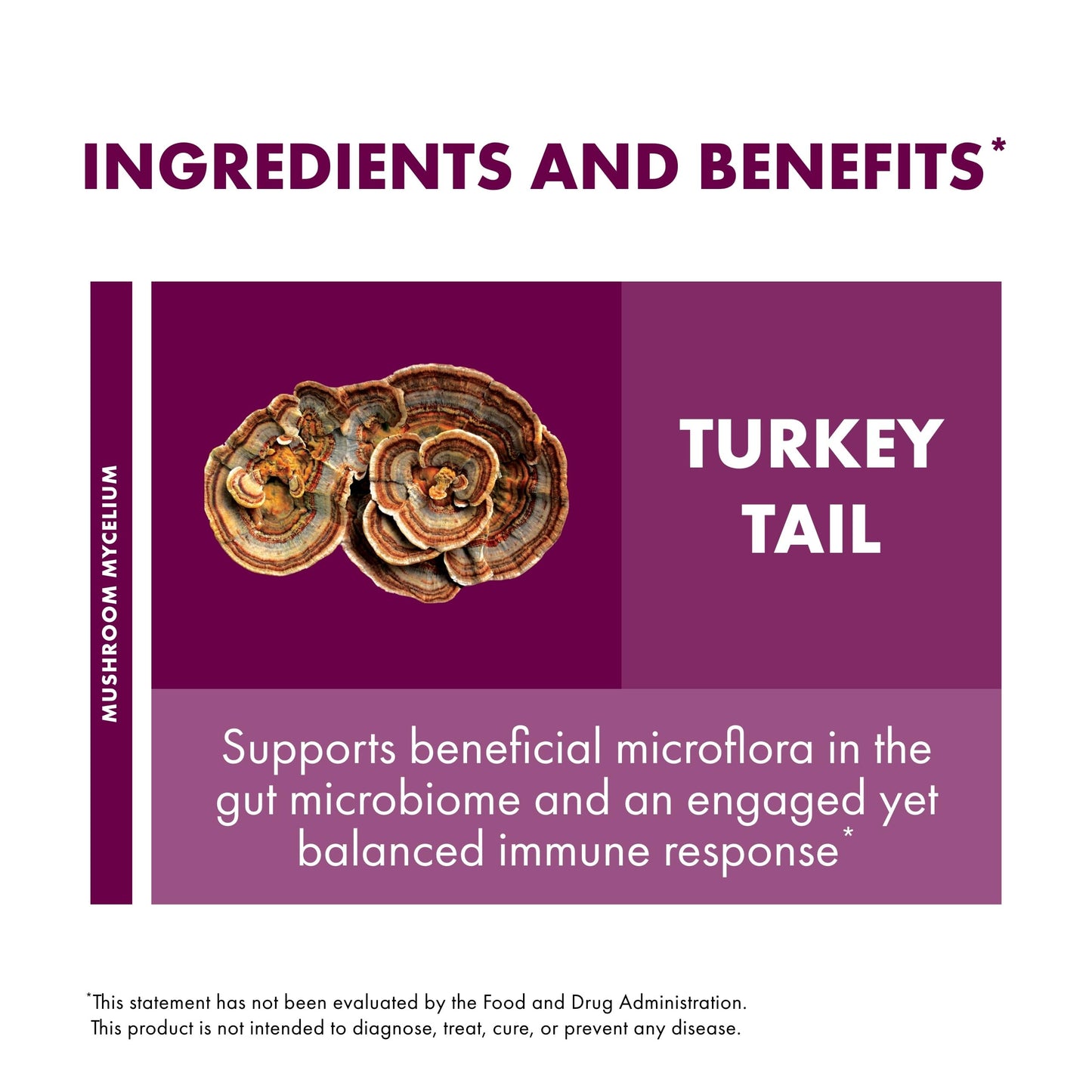 Host Defense Turkey Tail Capsules – Digestive Health & Immune Support | 60 Capsules