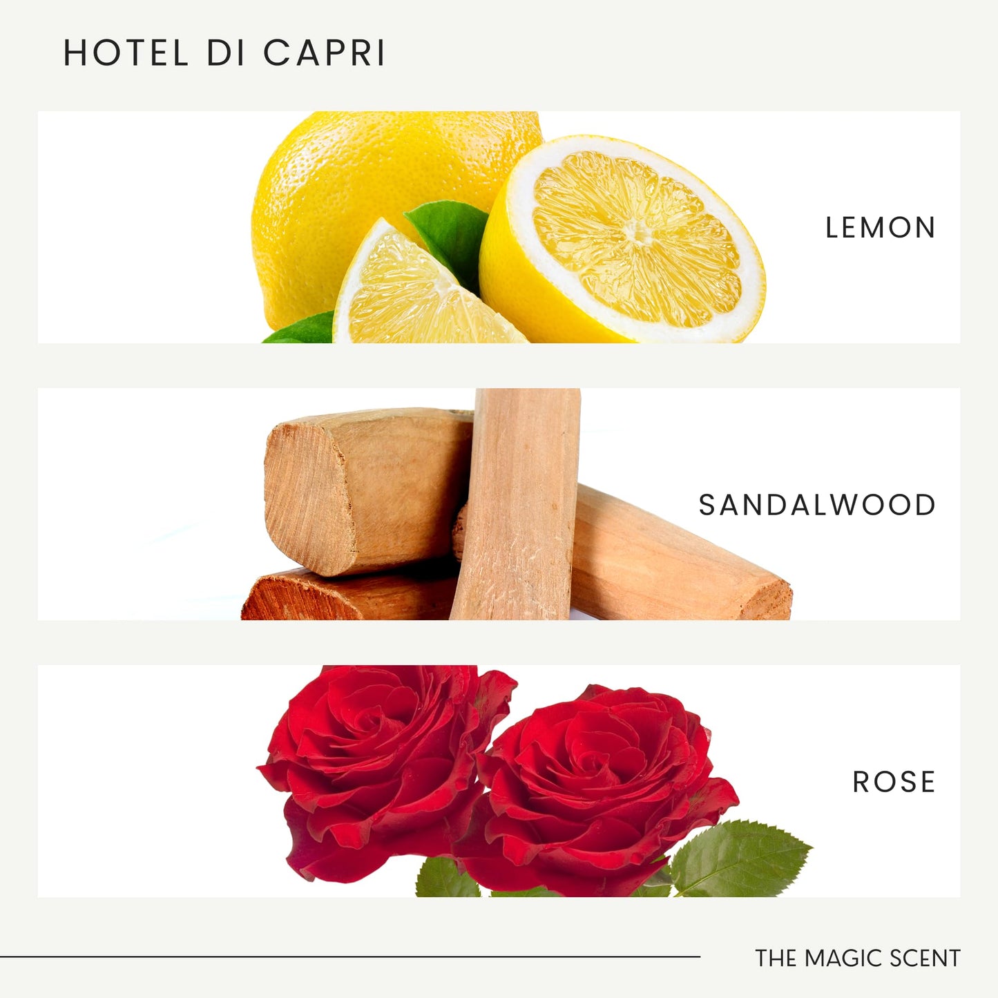 The Magic Scent Hotel Di Capri Diffuser Oil – Capri-Inspired Luxury, 4 fl oz