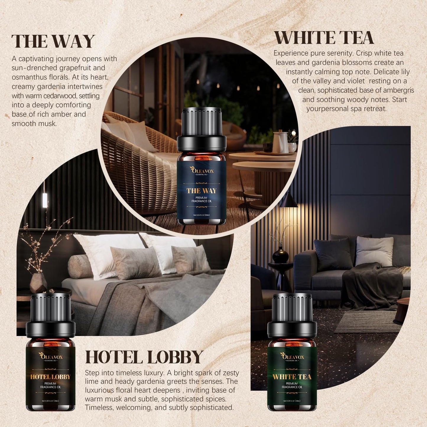 Hotel Diffuser Oils Gift Set – Luxury Fragrance Oils for Diffusers (Jasmine & Mint, White Tea, The Way)