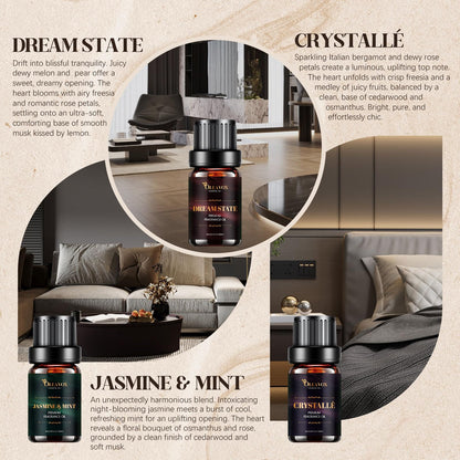 Hotel Diffuser Oils Gift Set – Luxury Fragrance Oils for Diffusers (Jasmine & Mint, White Tea, The Way)