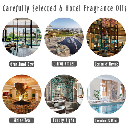Hotel Fragrance Oils by MitFlor – 6x10ml Diffuser Oils: Lemon & Thyme, Luxury Night, White Tea