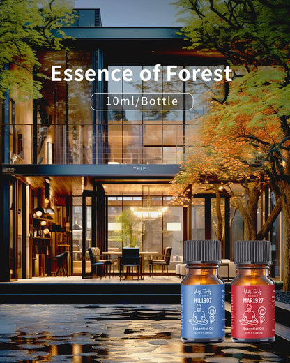 Hotel Scent Essential Oils Set – 6 x 10 ml | VEDA TINDA SCENT Luxury Diffuser Oils