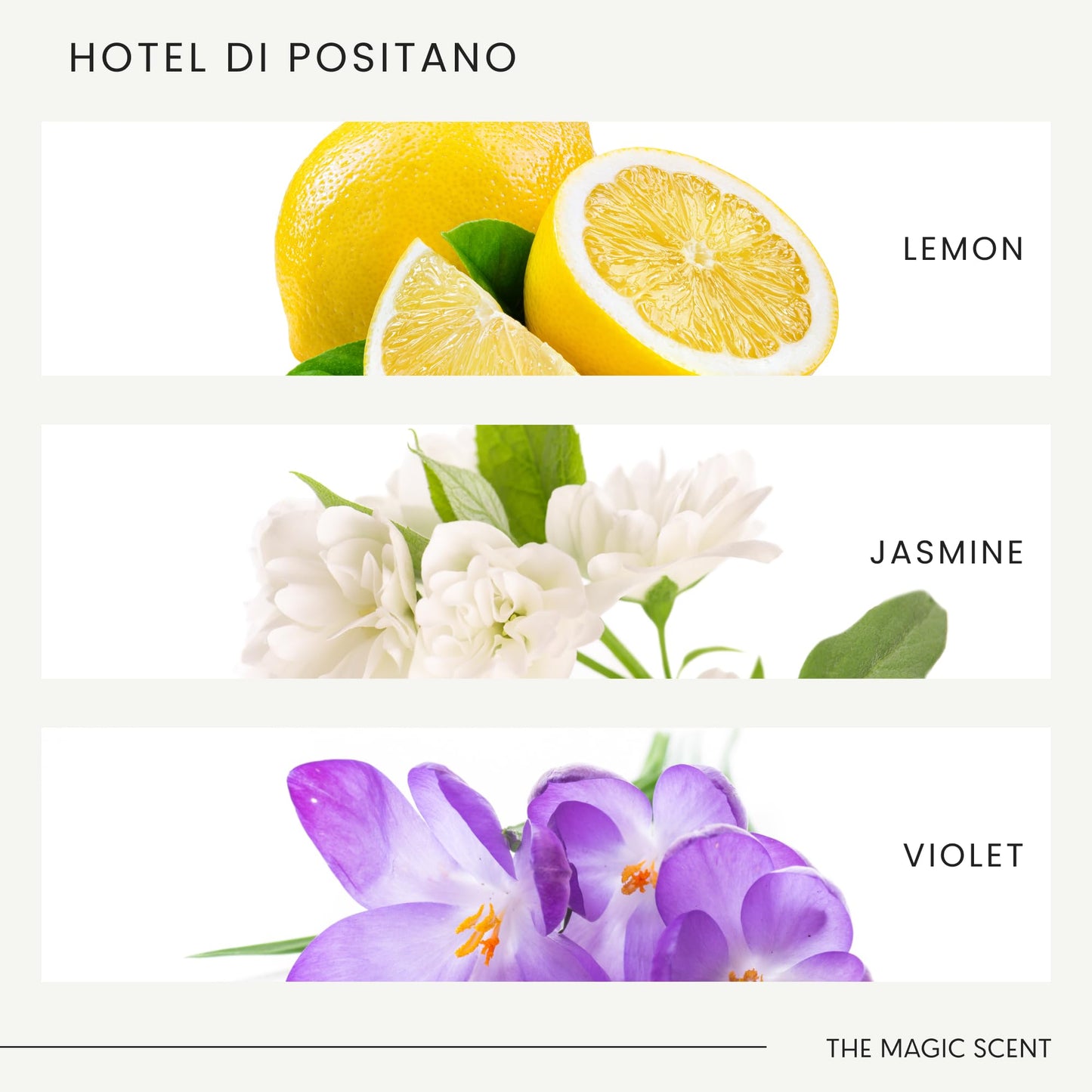 Hotel Di Positano Diffuser Oil Scents – Amalfi Coast Inspired, 8.5 fl oz (250 mL) – The Magic Scent