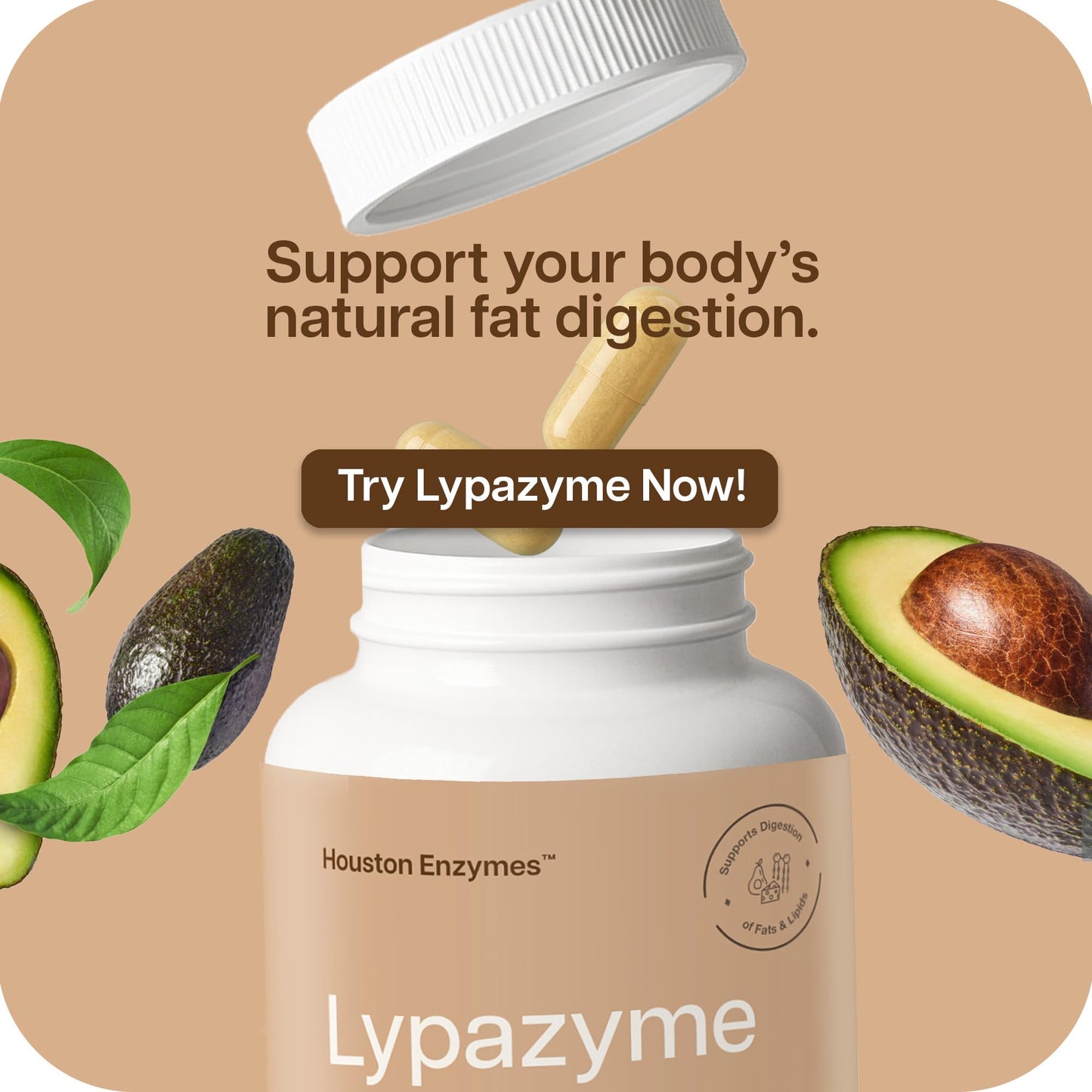 Houston Enzymes – Lypazyme Lipase Digestive Enzymes for Women and Men –120 Capsules – 3 Enzyme Blend for Complete Breakdown of Triglyceride Fats, Enzyme for Digestion of High-Fat Meals & Fish Oil
