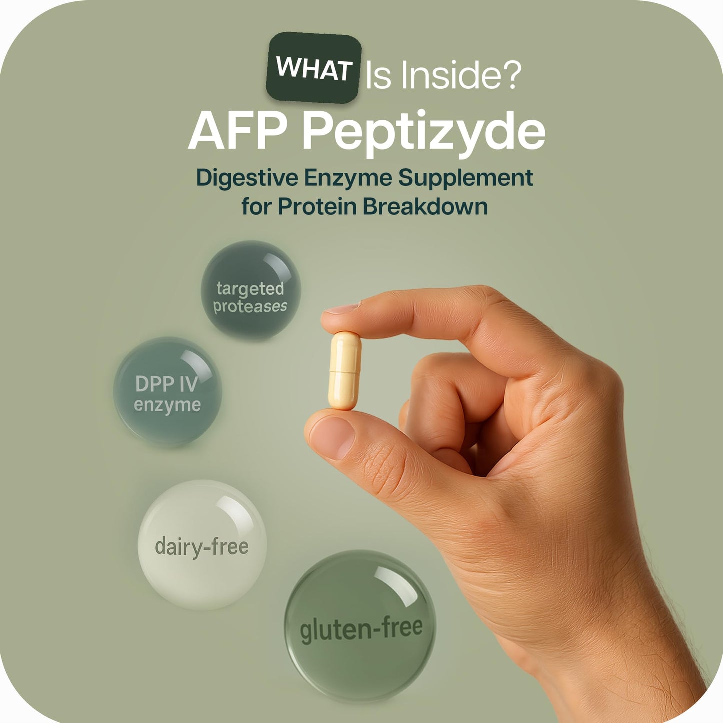 Houston Enzymes AFP Peptizyde – Protein Digestive Enzymes (90 Capsules)